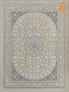 نائین  - نقره ای